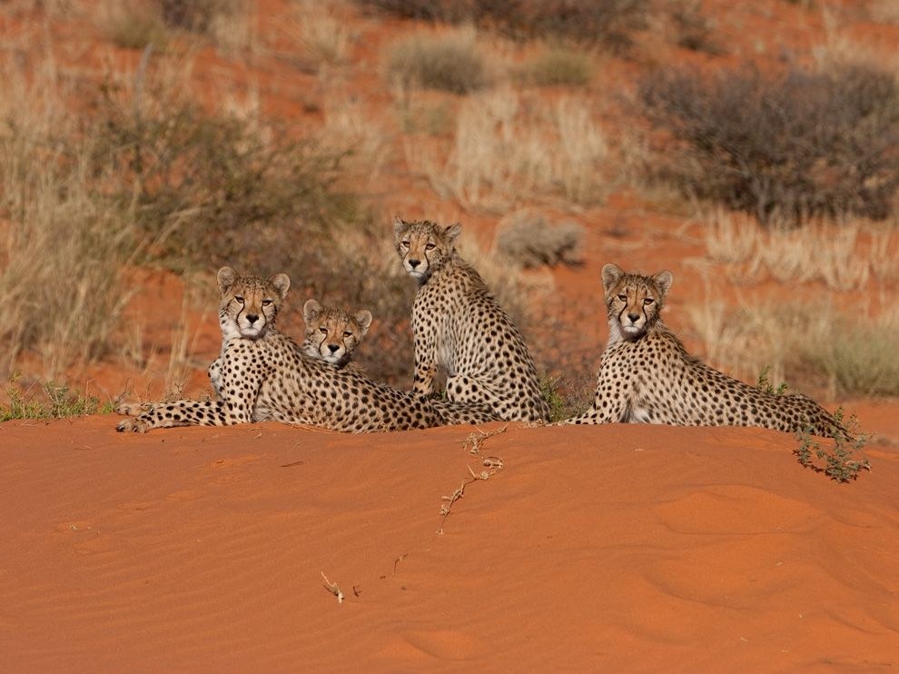 National Geographic: лучшие фотографии июля National Geographic: лучшие фотографии июля