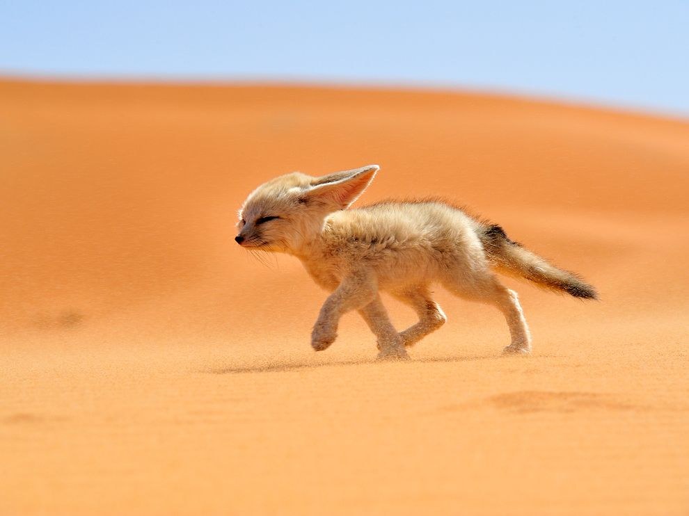 National Geographic: лучшие фотографии июля National Geographic: лучшие фотографии июля