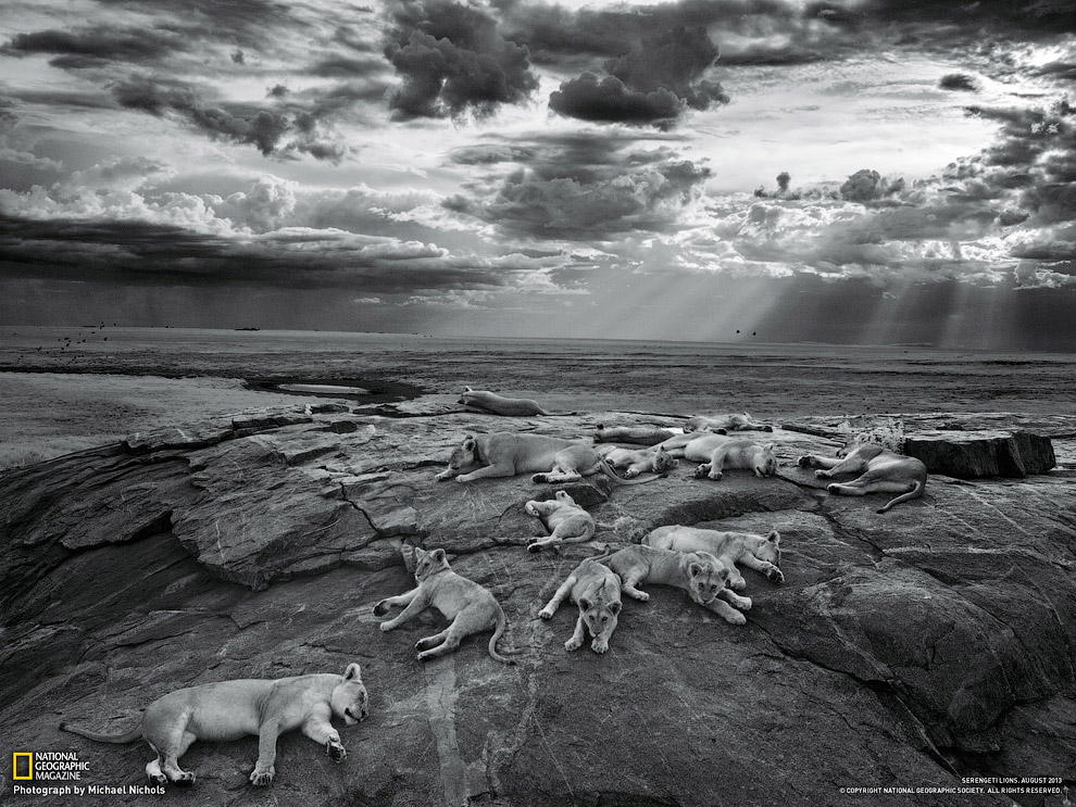 National Geographic: лучшие фотографии июля National Geographic: лучшие фотографии июля