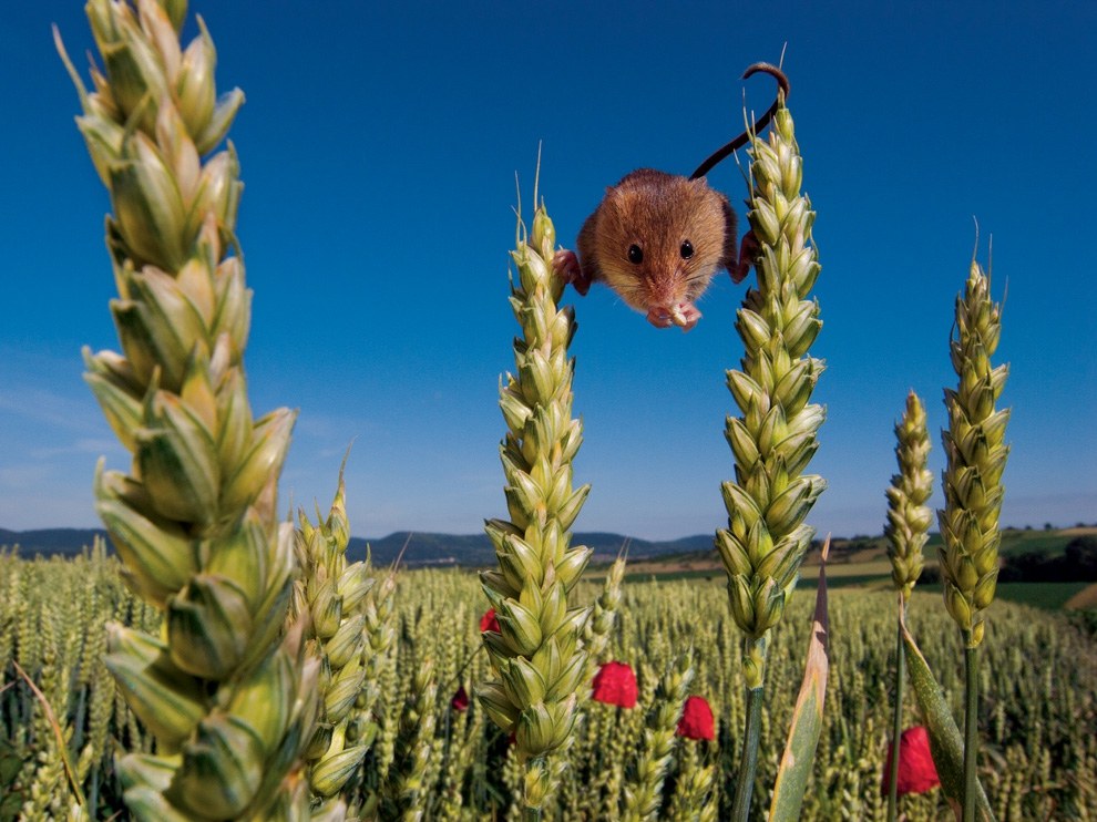 National Geographic: лучшие фотографии июля National Geographic: лучшие фотографии июля
