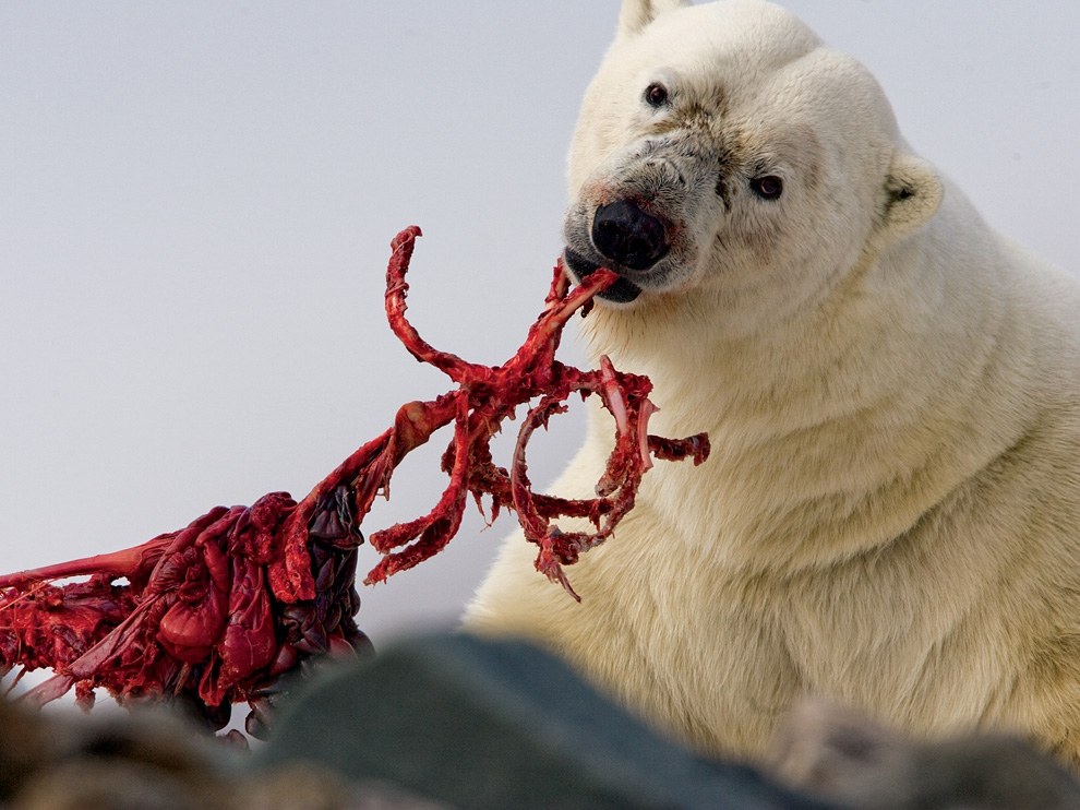 National Geographic: лучшие фотографии июля National Geographic: лучшие фотографии июля