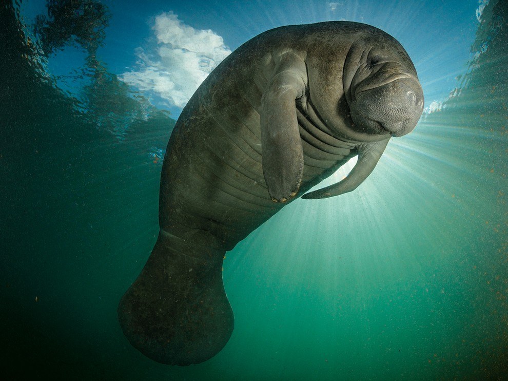 National Geographic: лучшие фотографии июля National Geographic: лучшие фотографии июля