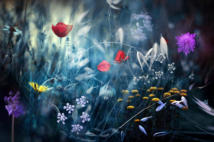 Природа под микроскопом Природа под микроскопом