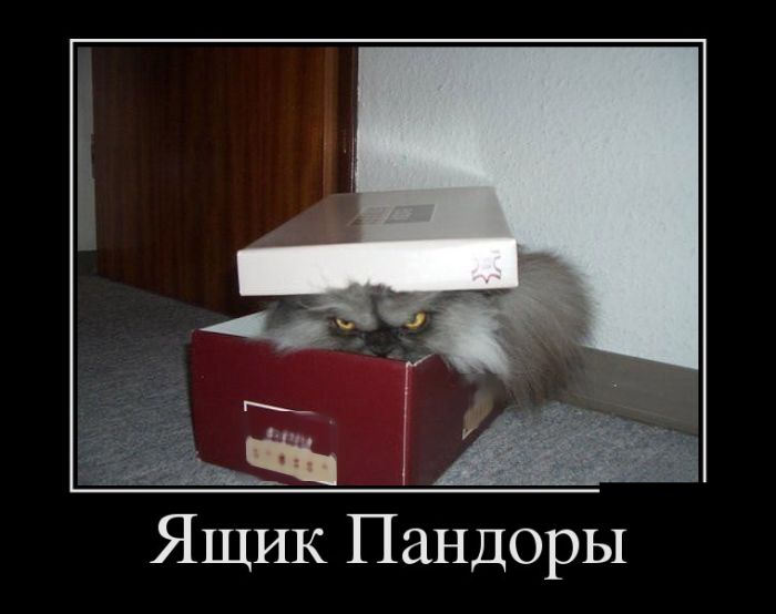 Демотиваторы