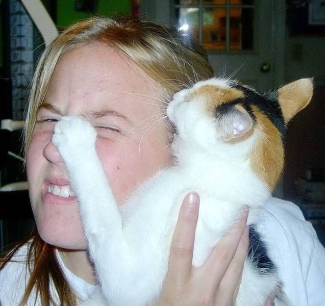 Прикольные картинки