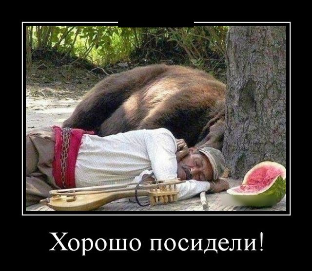 Демотиваторы