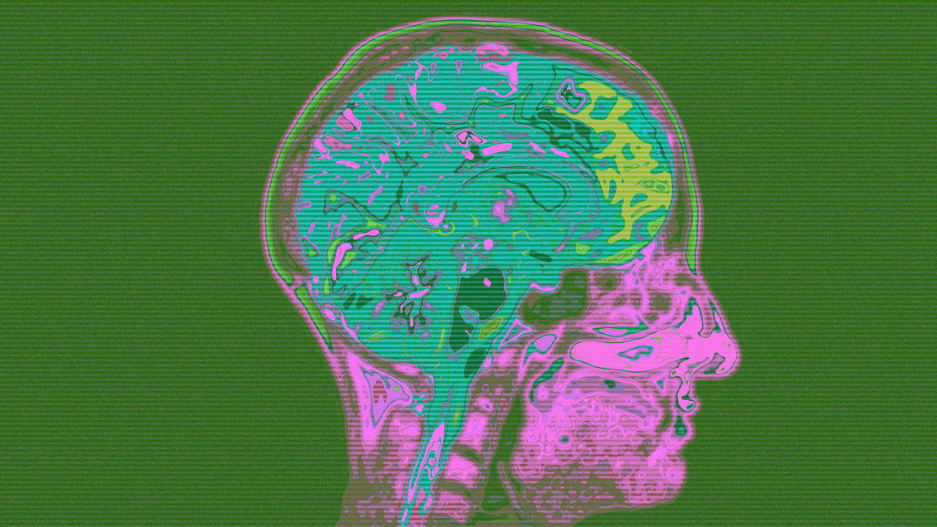 Как заставить свой мозг учиться быстрее Как заставить свой мозг учиться быстрее