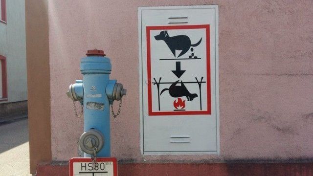 Странные запреты, которые сложно объяснить