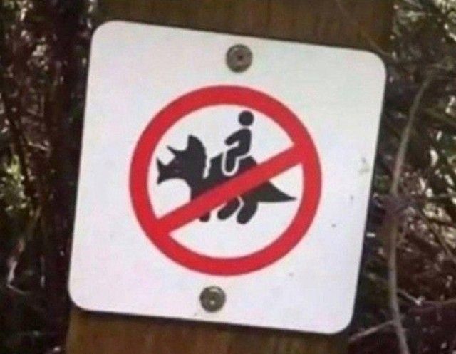 Странные запреты, которые сложно объяснить