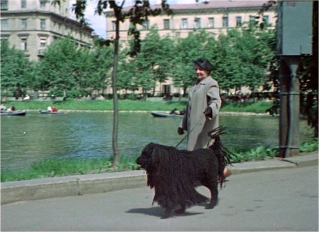 Советские люди: цветная кинохроника 1956 года