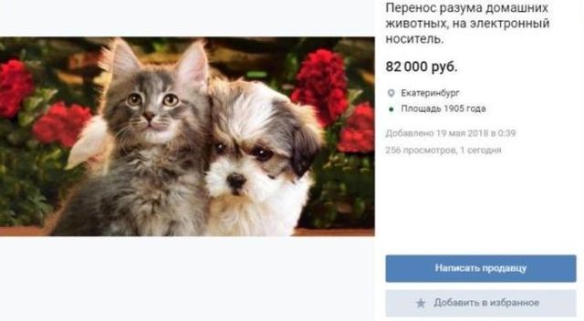 Необычная услуга для владельцев домашних питомцев