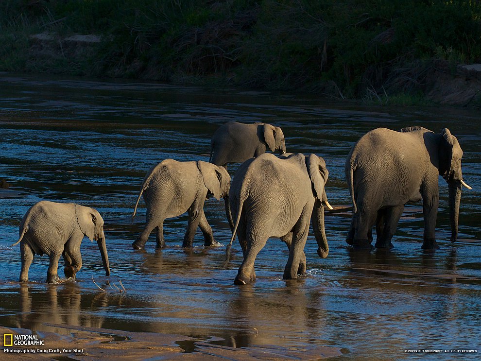 National Geographic: лучшие фотографии сентября
