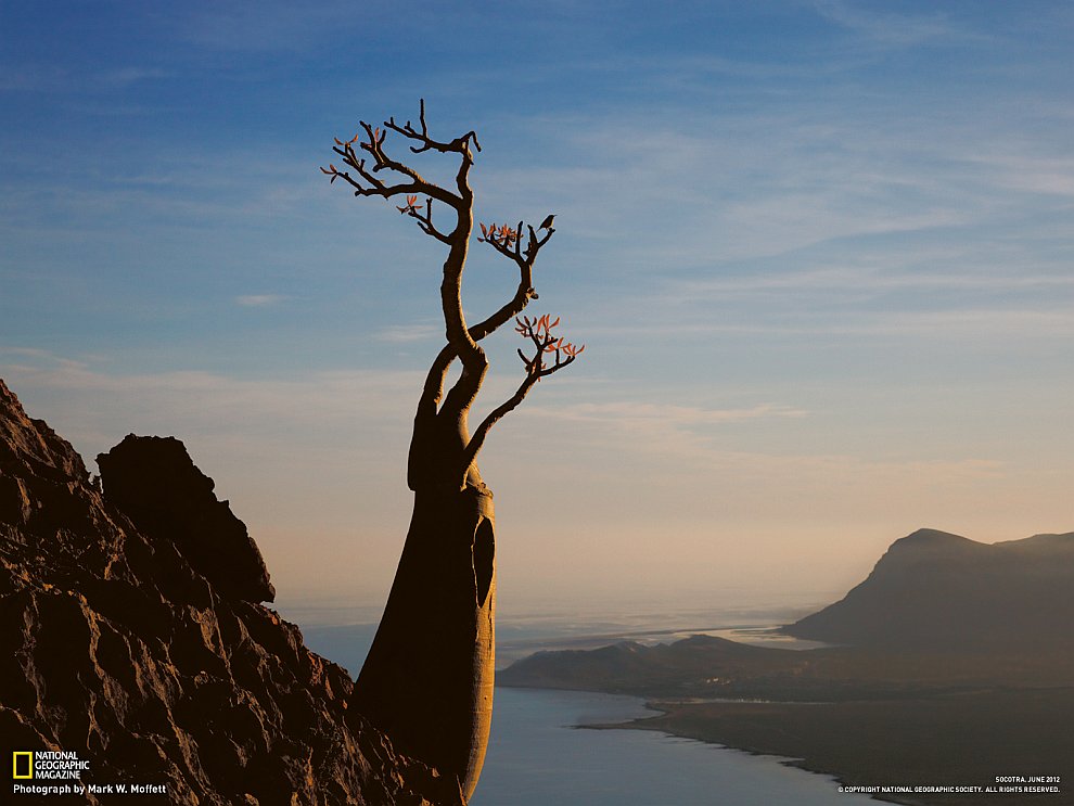 National Geographic: лучшие фотографии сентября