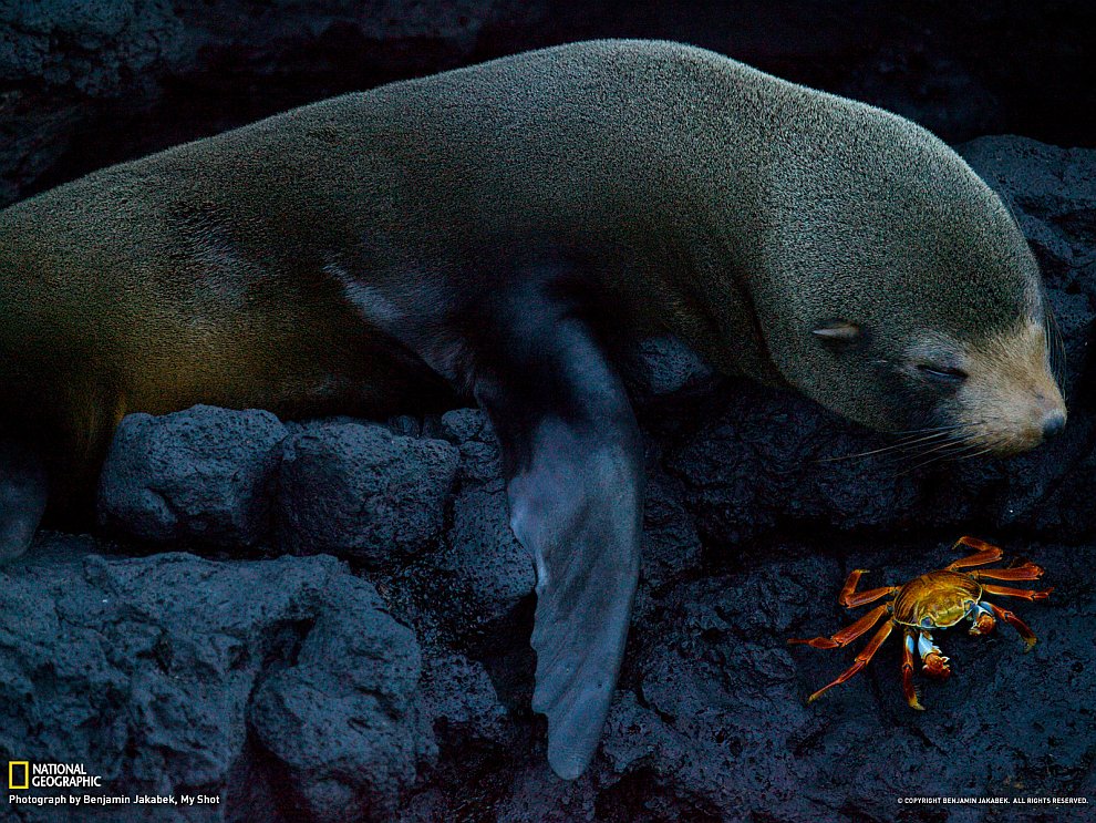 National Geographic: лучшие фотографии сентября