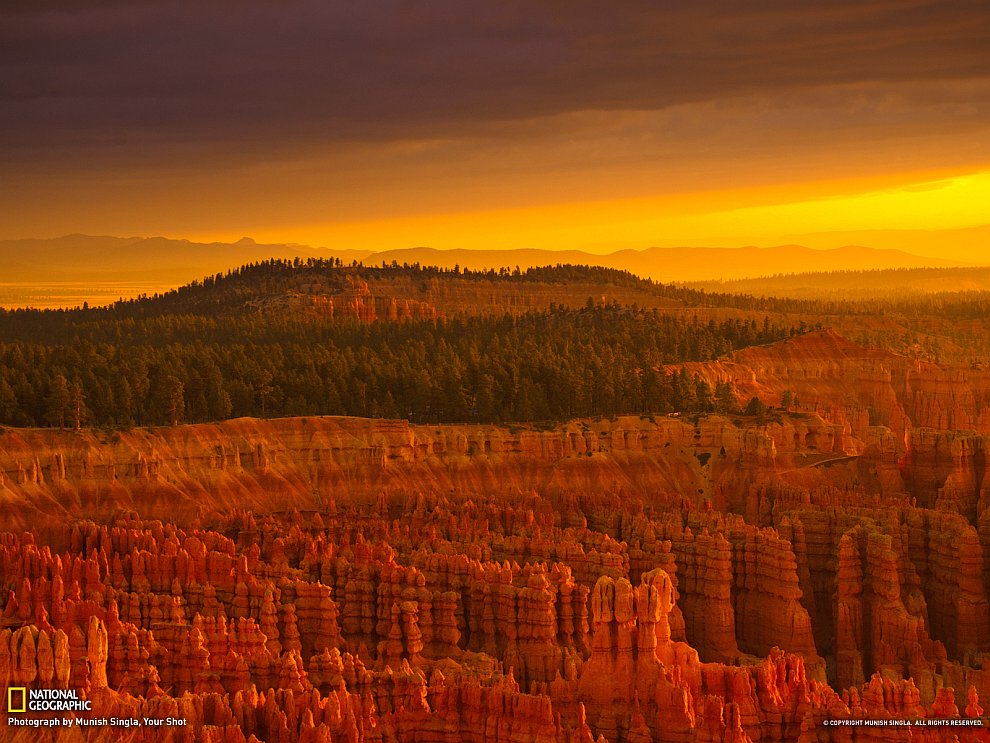 National Geographic: лучшие фотографии сентября