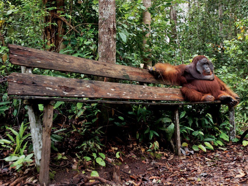 National Geographic: лучшие фотографии сентября
