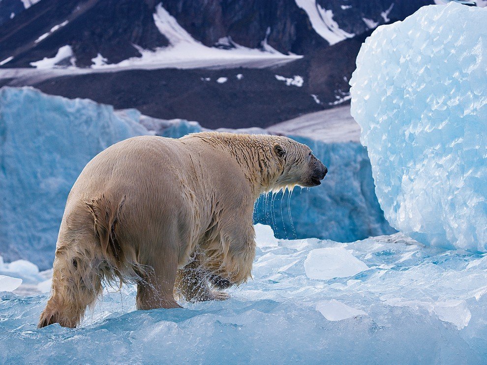 National Geographic: лучшие фотографии сентября