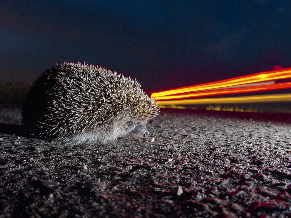 National Geographic: лучшие фотографии сентября