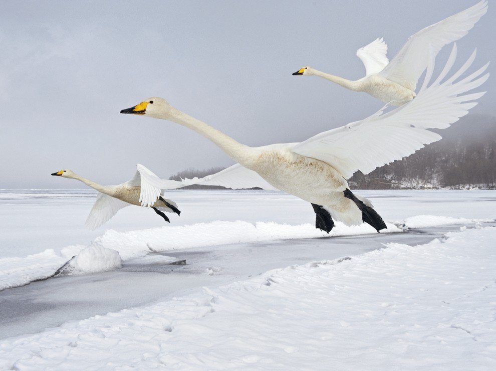 National Geographic: лучшие фотографии сентября