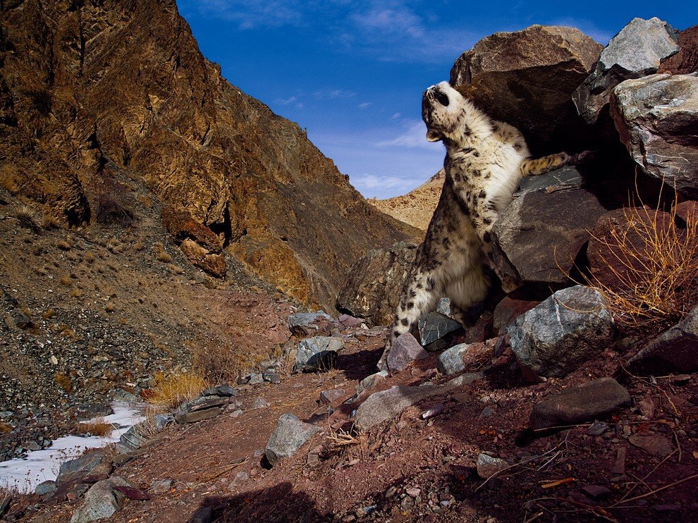 National Geographic: лучшие фотографии сентября