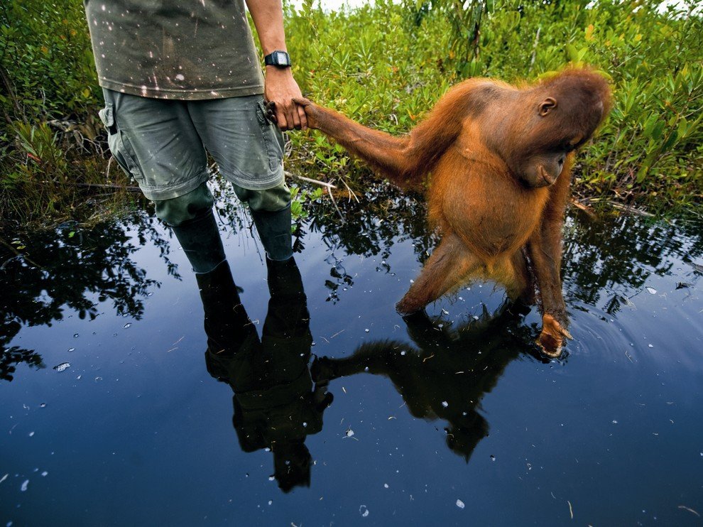 National Geographic: лучшие фотографии сентября