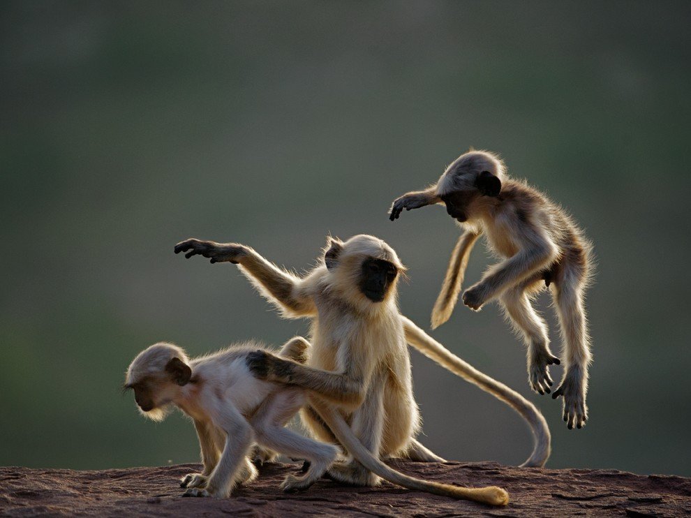 National Geographic: лучшие фотографии сентября