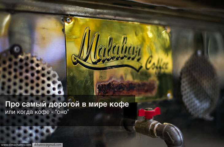 Как делают самый дорогой кофе в мире Как делают самый дорогой кофе в мире