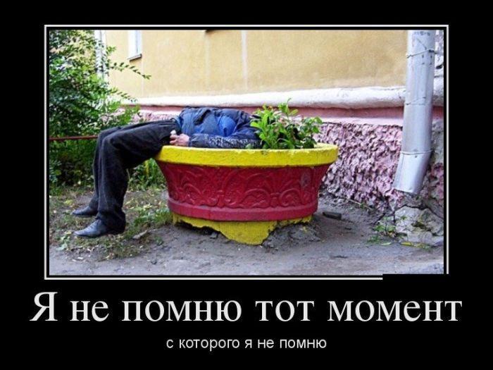 Демотиваторы (38 фото)