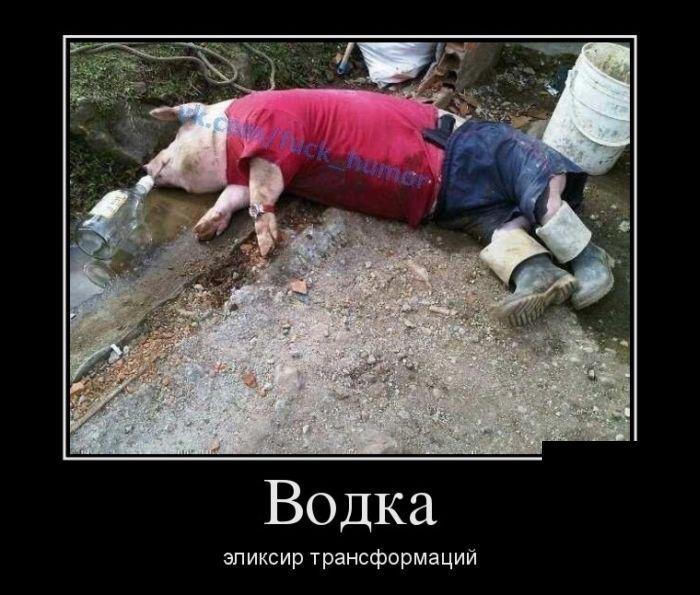 Демотиваторы (38 фото)