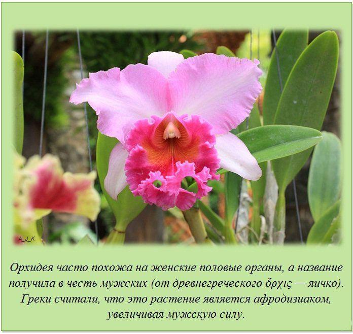 Интересные факты (20 фото)