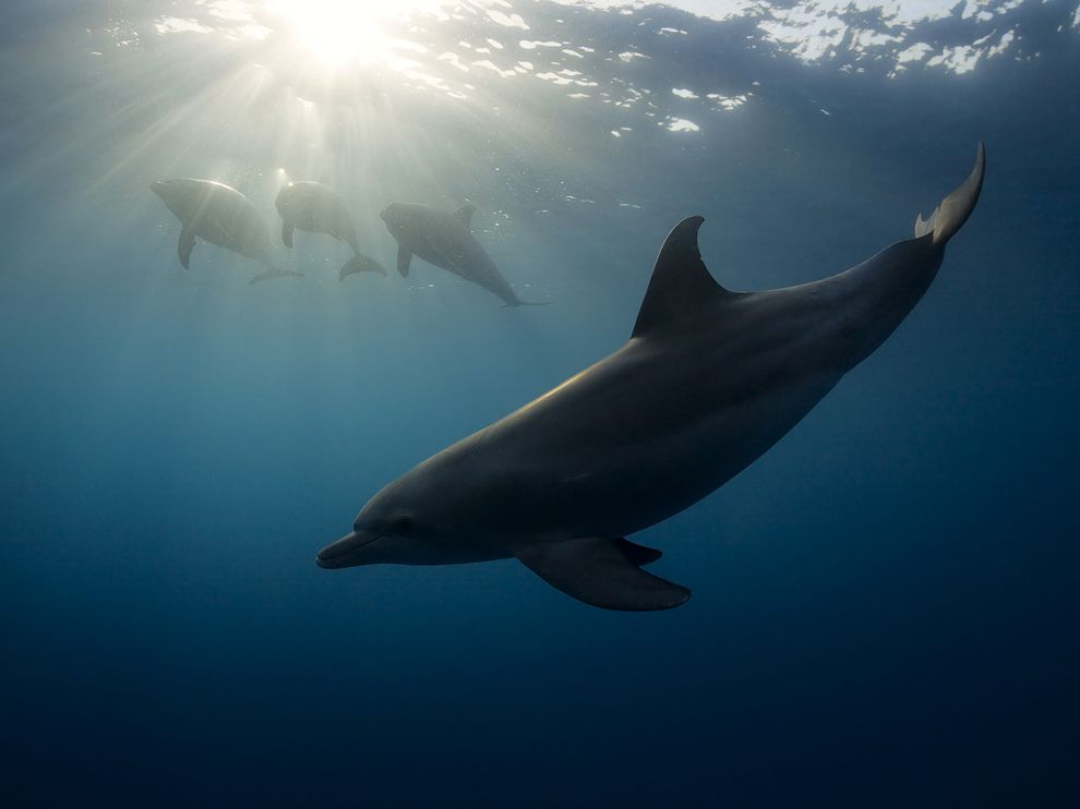 National Geographic: лучшие фотографии сентября National Geographic: лучшие фотографии сентября