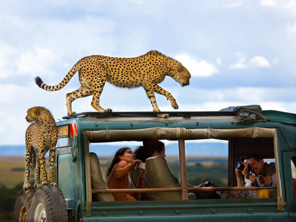 National Geographic: лучшие фотографии сентября National Geographic: лучшие фотографии сентября