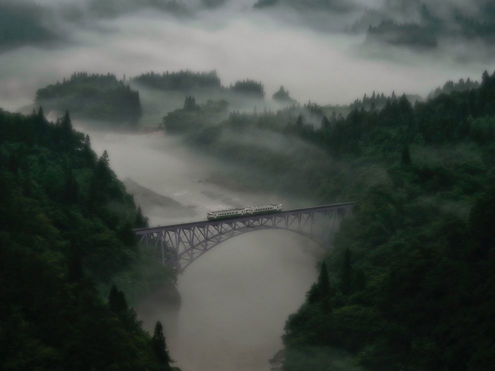 National Geographic: лучшие фотографии сентября National Geographic: лучшие фотографии сентября