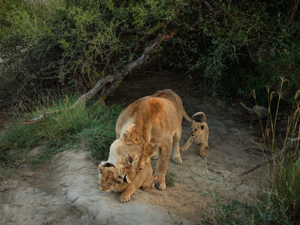 National Geographic: лучшие фотографии сентября National Geographic: лучшие фотографии сентября