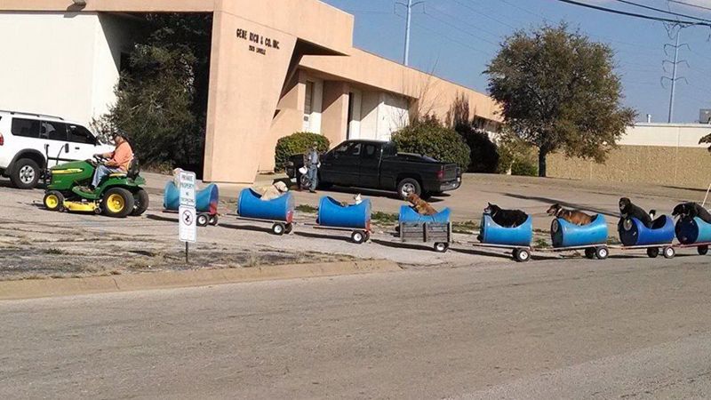 Добрый дедушка сделал поезд, на котором вывозит бродячих собак на прогулку
