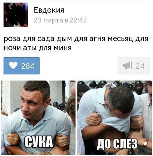 Порция картинок