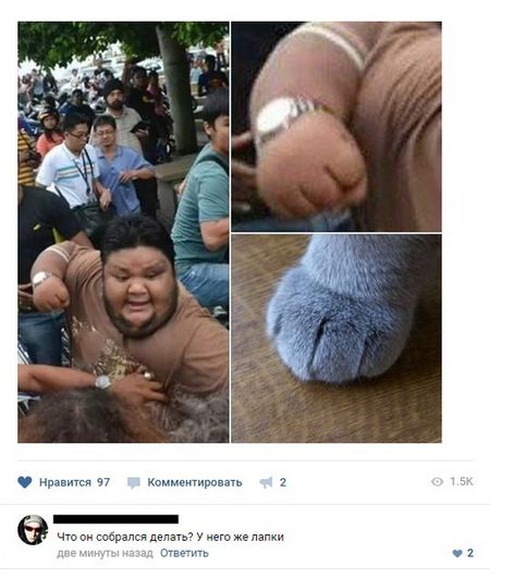 Прикольные картинки