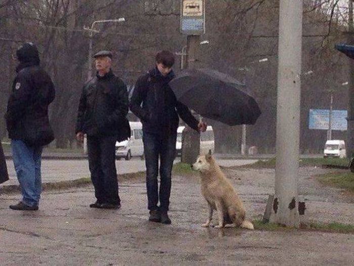 Больше, чем просто фото