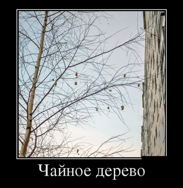 Демотиваторы