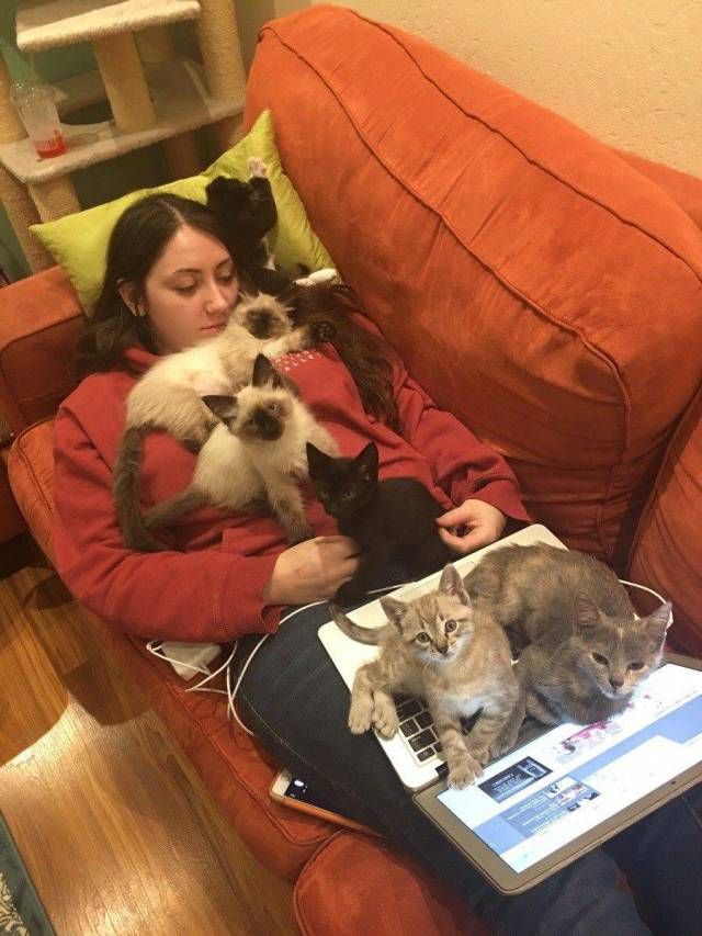 Прикольные картинки