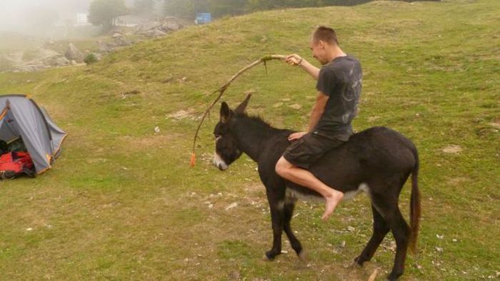Прикольные картинки
