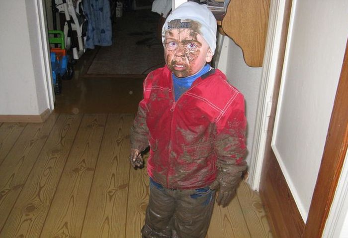 Прикольные картинки