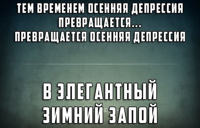 Прикольные картинки (84 фото)