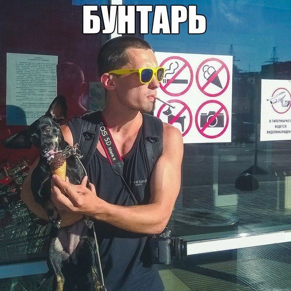 Прикольные картинки (84 фото)