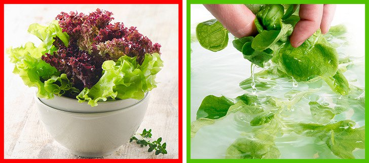 Продукты, которые мы всегда мыли неправильно Продукты, которые мы всегда мыли неправильно