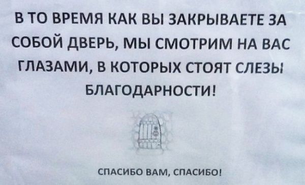 Лучшие объявления 2013 Лучшие объявления 2013