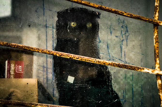 Лучшее с АdMe Photo Awards 2014 за неделю