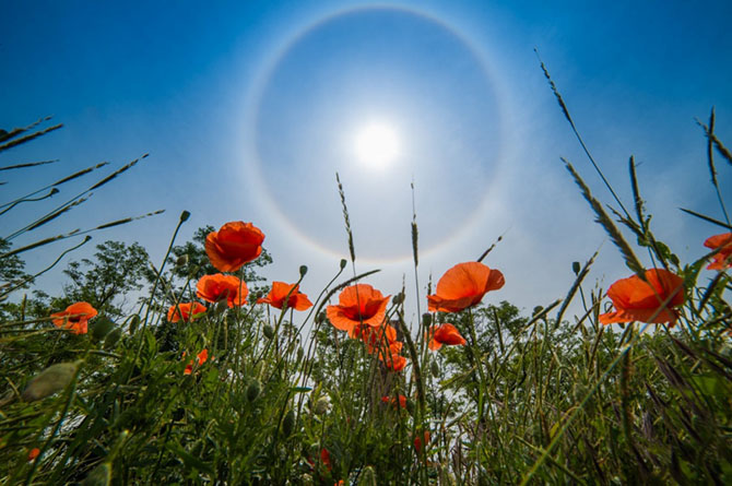 Лучшее с АdMe Photo Awards 2014 за неделю