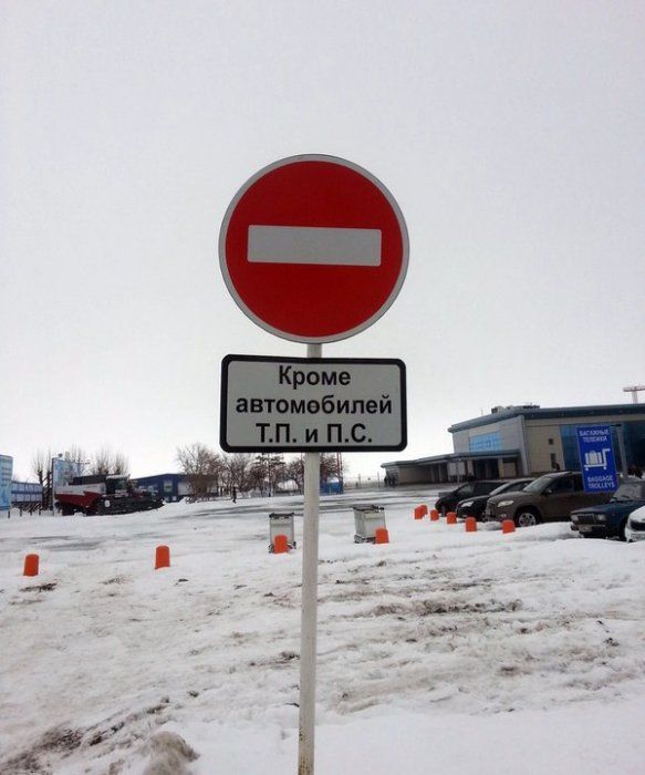 Прикольные картинки (81 фото)