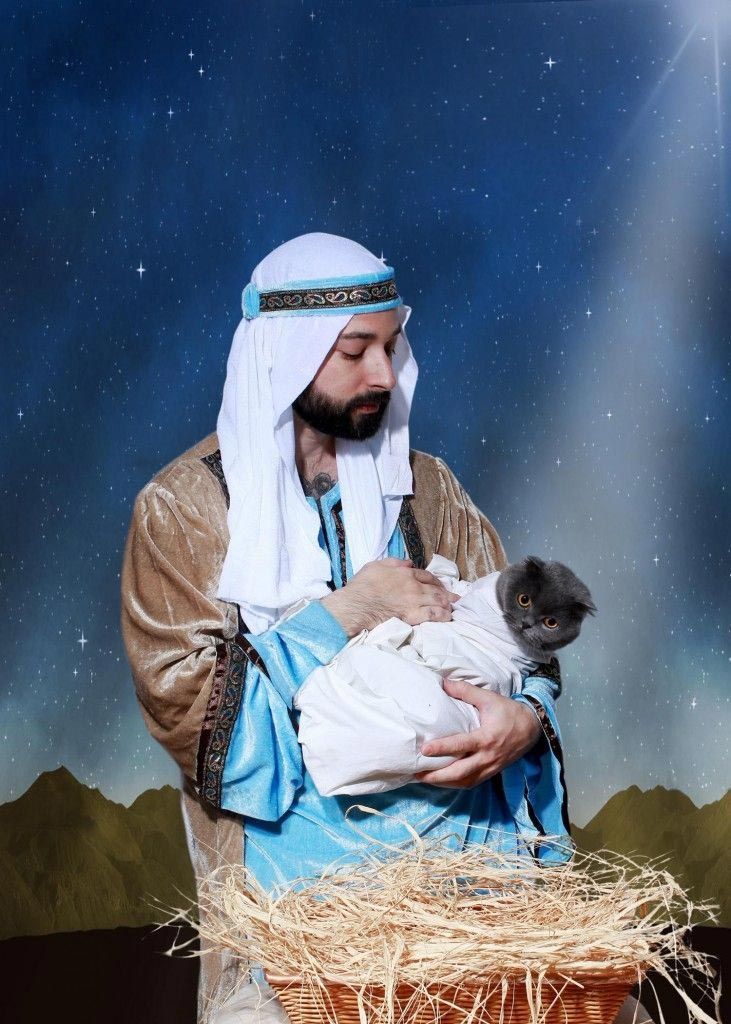 Смешные и чудовищно неловкие рождественские фотографии одиноких людей Смешные и чудовищно неловкие рождественские фотографии одиноких людей